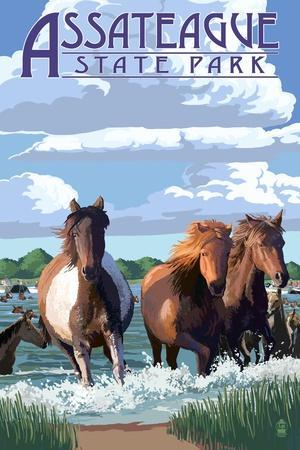 Assateague State Park, Maryland Pony Swim Lantern Press