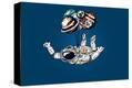 Stretched Canvas Print