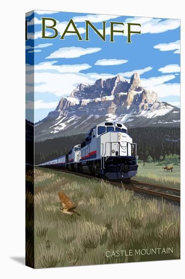 Stretched Canvas Print, , large