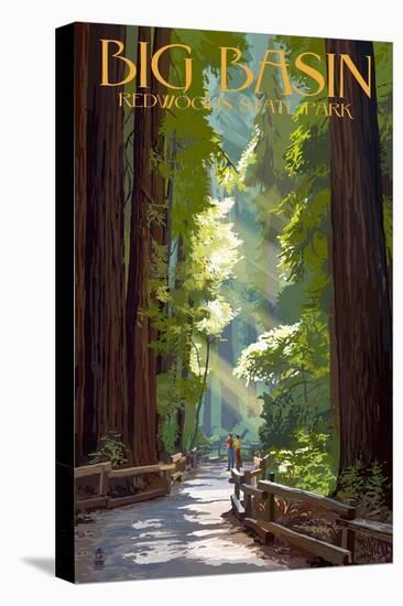 Stretched Canvas Print, , large