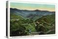 Stretched Canvas Print