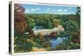 Stretched Canvas Print