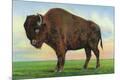 Premium Giclee Print