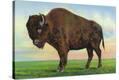 Stretched Canvas Print
