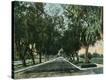 Stretched Canvas Print
