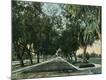 Premium Giclee Print