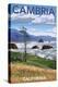 Stretched Canvas Print