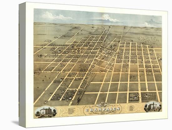 Stretched Canvas Print, , large
