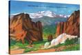 Stretched Canvas Print