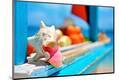Premium Photographic Print
