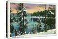 Stretched Canvas Print
