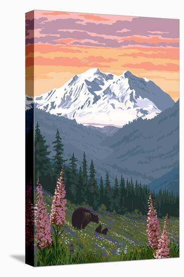 Stretched Canvas Print, , large