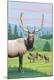 Premium Giclee Print