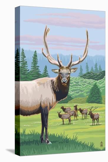 Stretched Canvas Print, , large
