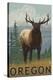 Stretched Canvas Print