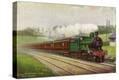 Stretched Canvas Print