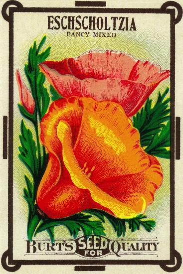 Art Print, , large
