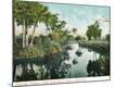 Premium Giclee Print