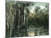 Premium Giclee Print
