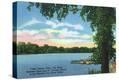 Stretched Canvas Print