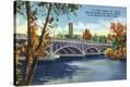 Stretched Canvas Print