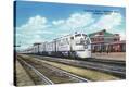 Stretched Canvas Print