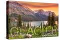 Stretched Canvas Print