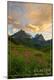 Premium Giclee Print