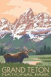 Grand Teton National Park - Moose and Mountains-Lantern Press-Framed Art Print
