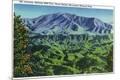 Premium Giclee Print