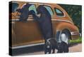 Stretched Canvas Print