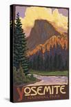 Moose and Meadow - Rocky Mountain National Park-Lantern Press-Art Print
