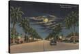 Stretched Canvas Print