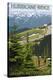 Stretched Canvas Print