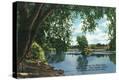 Stretched Canvas Print