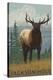 Stretched Canvas Print
