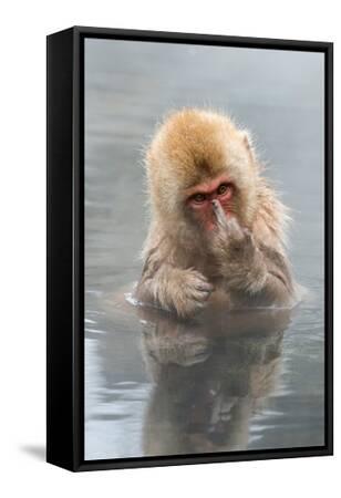 Japanese monkey様 Japanese Monkey 2190 | Wymask Futuristic Poster