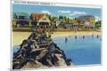 Premium Giclee Print