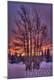 Premium Giclee Print