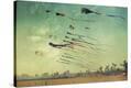 Stretched Canvas Print