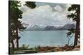 Stretched Canvas Print