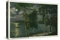 Stretched Canvas Print