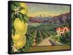 Stretched Canvas Print
