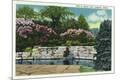 Premium Giclee Print