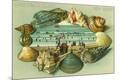 Premium Giclee Print