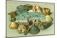 Premium Giclee Print