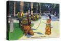 Stretched Canvas Print