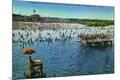 Premium Giclee Print