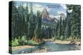 Stretched Canvas Print
