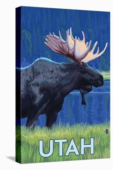 Stretched Canvas Print, , large